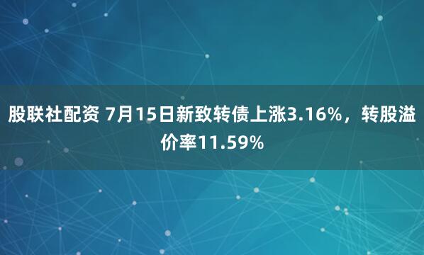 股联社配资 7月15日新致转债上涨3.16%，转股溢价率11.59%