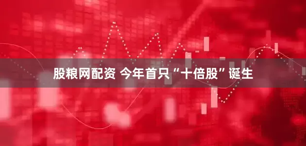 股粮网配资 今年首只“十倍股”诞生